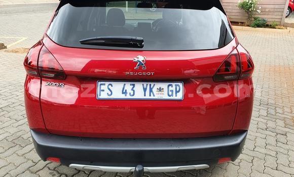 Buy Used Peugeot 2008 Red Car in Nampula in Nampula Buy Used Peugeot 2008 Red Car in Nampula in Nampula