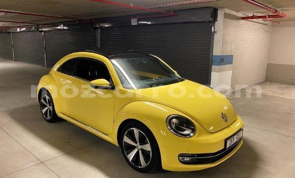 Tenga Tsaru Volkswagen Beetle Zvimwe Mota in Nampula in Nampula Tenga Tsaru Volkswagen Beetle Zvimwe Mota in Nampula in Nampula