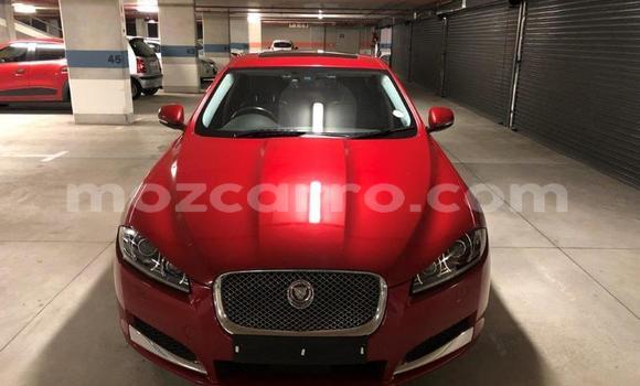 Tenga Tsaru Jaguar XF Tsvuku Mota in Nampula in Nampula Tenga Tsaru Jaguar XF Tsvuku Mota in Nampula in Nampula