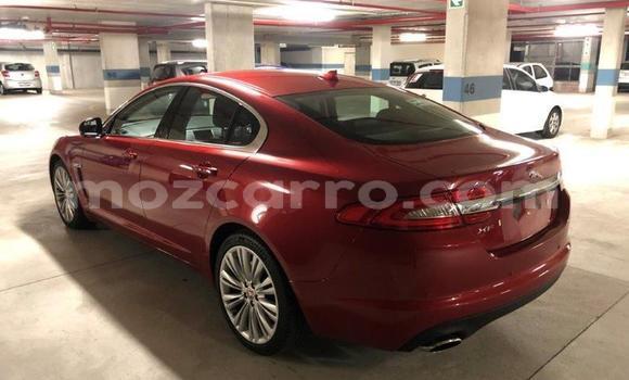 Tenga Tsaru Jaguar XF Tsvuku Mota in Nampula in Nampula Tenga Tsaru Jaguar XF Tsvuku Mota in Nampula in Nampula