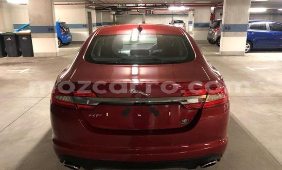 Tenga Tsaru Jaguar XF Tsvuku Mota in Nampula in Nampula Tenga Tsaru Jaguar XF Tsvuku Mota in Nampula in Nampula