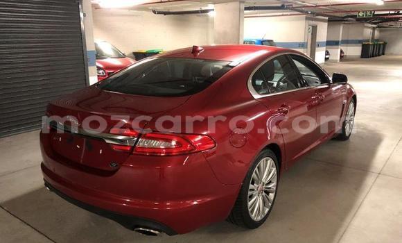 Tenga Tsaru Jaguar XF Tsvuku Mota in Nampula in Nampula Tenga Tsaru Jaguar XF Tsvuku Mota in Nampula in Nampula