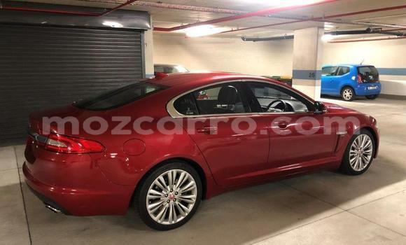 Tenga Tsaru Jaguar XF Tsvuku Mota in Nampula in Nampula Tenga Tsaru Jaguar XF Tsvuku Mota in Nampula in Nampula