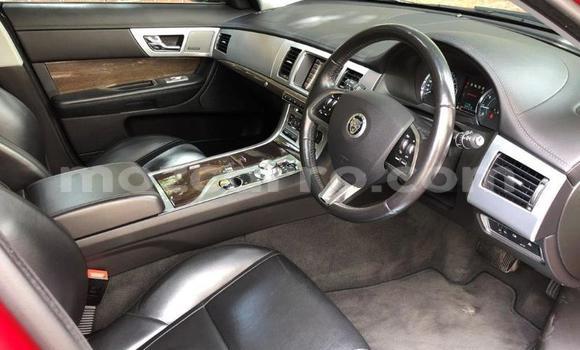 Tenga Tsaru Jaguar XF Tsvuku Mota in Nampula in Nampula Tenga Tsaru Jaguar XF Tsvuku Mota in Nampula in Nampula