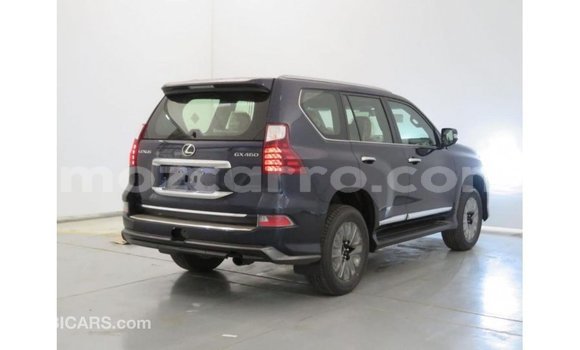 Buy Import Lexus GX Blue Car in Import - Dubai in Cabo Delgado Buy Import Lexus GX Blue Car in Import - Dubai in Cabo Delgado