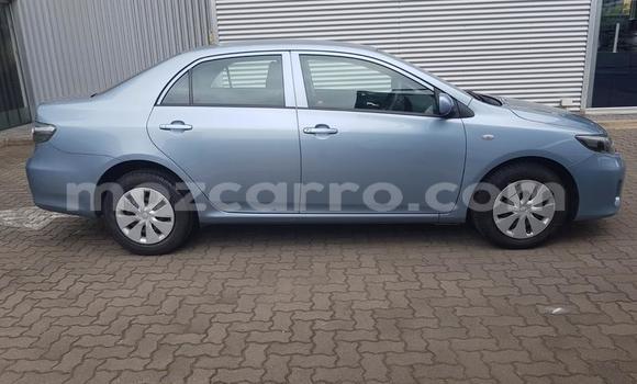 Tenga Tsaru Toyota Corolla Bhuruu Mota in Nampula in Nampula Tenga Tsaru Toyota Corolla Bhuruu Mota in Nampula in Nampula