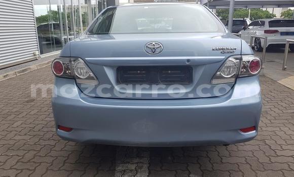 Tenga Tsaru Toyota Corolla Bhuruu Mota in Nampula in Nampula Tenga Tsaru Toyota Corolla Bhuruu Mota in Nampula in Nampula