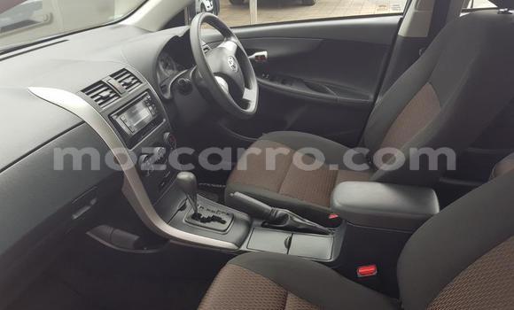 Tenga Tsaru Toyota Corolla Bhuruu Mota in Nampula in Nampula Tenga Tsaru Toyota Corolla Bhuruu Mota in Nampula in Nampula