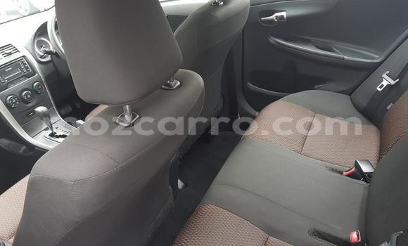 Tenga Tsaru Toyota Corolla Bhuruu Mota in Nampula in Nampula Tenga Tsaru Toyota Corolla Bhuruu Mota in Nampula in Nampula