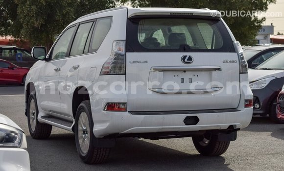 Comprar Importar Lexus GX Branco Carro em Import - Dubai em Cabo Delgado Comprar Importar Lexus GX Branco Carro em Import - Dubai em Cabo Delgado