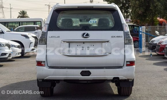 Comprar Importar Lexus GX Branco Carro em Import - Dubai em Cabo Delgado Comprar Importar Lexus GX Branco Carro em Import - Dubai em Cabo Delgado