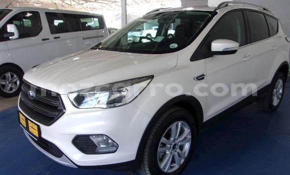 Tenga Tsaru Ford Kuga Chena Mota in Maputo in Maputo Tenga Tsaru Ford Kuga Chena Mota in Maputo in Maputo
