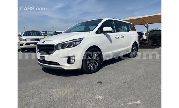 Comprar Importar Kia Carnival Branco Carro em Import - Dubai em Cabo Delgado Comprar Importar Kia Carnival Branco Carro em Import - Dubai em Cabo Delgado