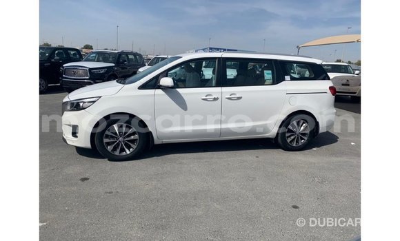 Comprar Importar Kia Carnival Branco Carro em Import - Dubai em Cabo Delgado Comprar Importar Kia Carnival Branco Carro em Import - Dubai em Cabo Delgado