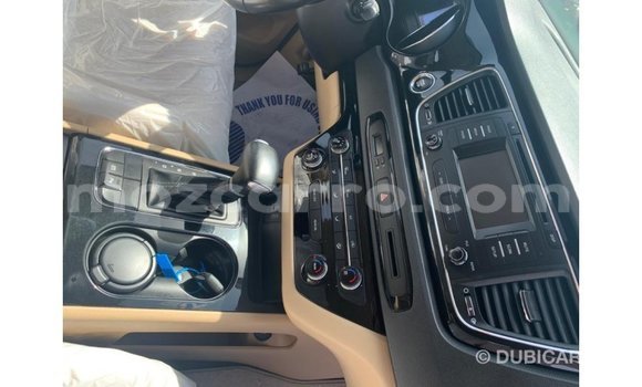 Comprar Importar Kia Carnival Branco Carro em Import - Dubai em Cabo Delgado Comprar Importar Kia Carnival Branco Carro em Import - Dubai em Cabo Delgado