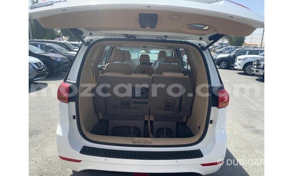 Comprar Importar Kia Carnival Branco Carro em Import - Dubai em Cabo Delgado Comprar Importar Kia Carnival Branco Carro em Import - Dubai em Cabo Delgado