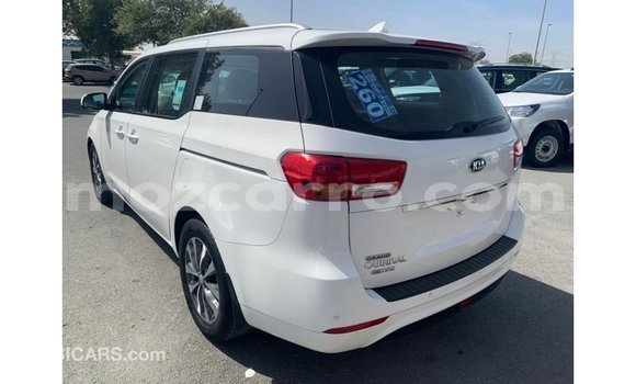 Comprar Importar Kia Carnival Branco Carro em Import - Dubai em Cabo Delgado Comprar Importar Kia Carnival Branco Carro em Import - Dubai em Cabo Delgado