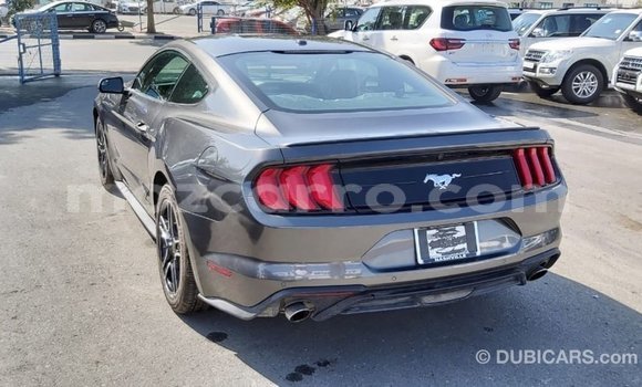 Comprar Importar Ford Mustang De outros Carro em Import - Dubai em Cabo Delgado Comprar Importar Ford Mustang De outros Carro em Import - Dubai em Cabo Delgado