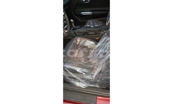 Comprar Importar Ford Mustang Vermelho Carro em Import - Dubai em Cabo Delgado Comprar Importar Ford Mustang Vermelho Carro em Import - Dubai em Cabo Delgado