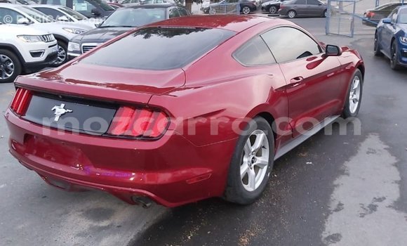 Comprar Importar Ford Mustang Vermelho Carro em Import - Dubai em Cabo Delgado Comprar Importar Ford Mustang Vermelho Carro em Import - Dubai em Cabo Delgado