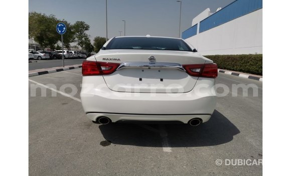 Comprar Importar Nissan Maxima Branco Carro em Import - Dubai em Cabo Delgado Comprar Importar Nissan Maxima Branco Carro em Import - Dubai em Cabo Delgado