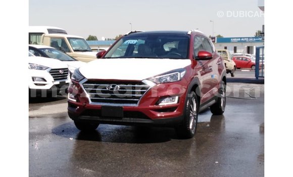 Buy Import Hyundai Tucson Red Car in Import - Dubai in Cabo Delgado Buy Import Hyundai Tucson Red Car in Import - Dubai in Cabo Delgado