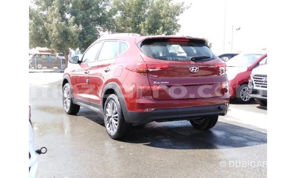 Buy Import Hyundai Tucson Red Car in Import - Dubai in Cabo Delgado Buy Import Hyundai Tucson Red Car in Import - Dubai in Cabo Delgado