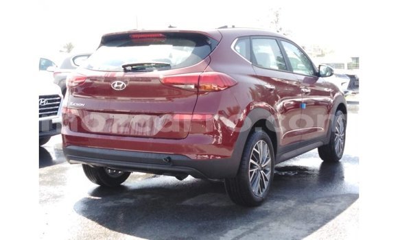 Buy Import Hyundai Tucson Red Car in Import - Dubai in Cabo Delgado Buy Import Hyundai Tucson Red Car in Import - Dubai in Cabo Delgado