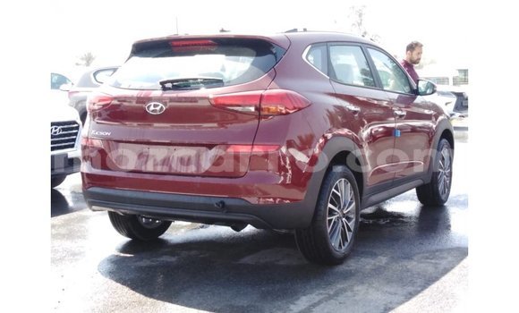 Buy Import Hyundai Tucson Red Car in Import - Dubai in Cabo Delgado Buy Import Hyundai Tucson Red Car in Import - Dubai in Cabo Delgado