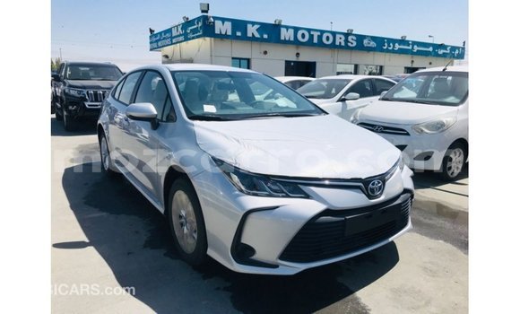 Buy Import Toyota Corolla White Car in Import - Dubai in Cabo Delgado Buy Import Toyota Corolla White Car in Import - Dubai in Cabo Delgado