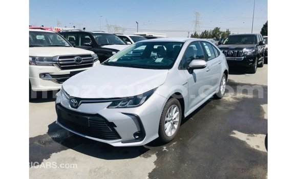 Buy Import Toyota Corolla White Car in Import - Dubai in Cabo Delgado Buy Import Toyota Corolla White Car in Import - Dubai in Cabo Delgado