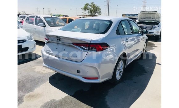 Buy Import Toyota Corolla White Car in Import - Dubai in Cabo Delgado Buy Import Toyota Corolla White Car in Import - Dubai in Cabo Delgado