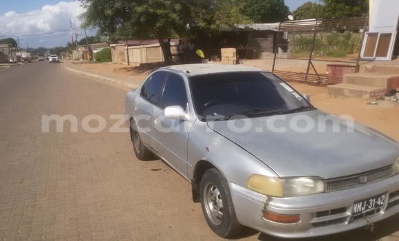 Tenga Tsaru Toyota Corolla Sirivha Mota in Maputo in Maputo Tenga Tsaru Toyota Corolla Sirivha Mota in Maputo in Maputo