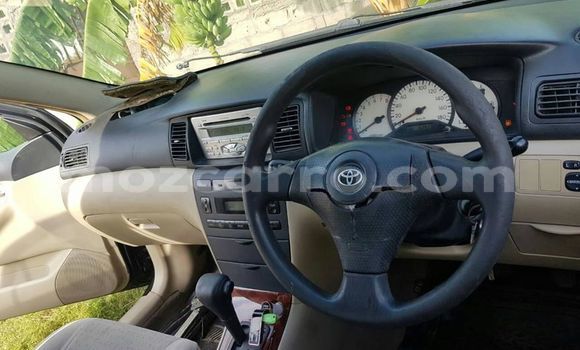 Buy Used Toyota Runx Black Car in Maputo in Maputo Buy Used Toyota Runx Black Car in Maputo in Maputo