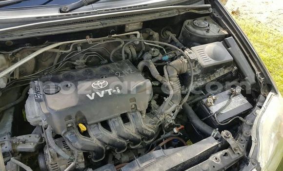 Buy Used Toyota Runx Black Car in Maputo in Maputo Buy Used Toyota Runx Black Car in Maputo in Maputo