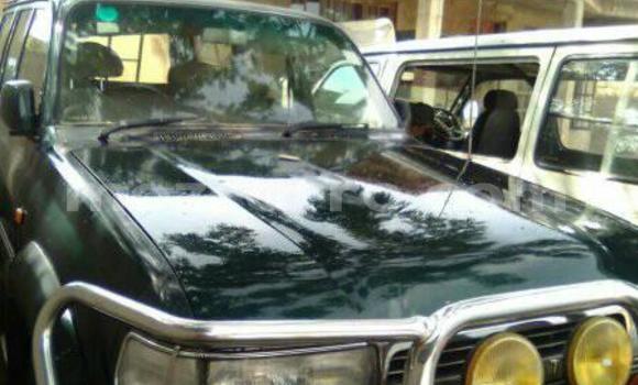 Buy Used Toyota Land Cruiser Green Car in Maputo in Maputo Buy Used Toyota Land Cruiser Green Car in Maputo in Maputo