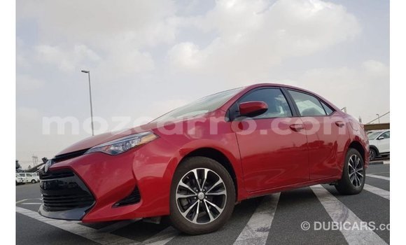 Comprar Importar Toyota Corolla Vermelho Carro em Import - Dubai em Cabo Delgado Comprar Importar Toyota Corolla Vermelho Carro em Import - Dubai em Cabo Delgado