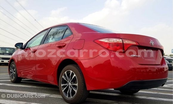 Comprar Importar Toyota Corolla Vermelho Carro em Import - Dubai em Cabo Delgado Comprar Importar Toyota Corolla Vermelho Carro em Import - Dubai em Cabo Delgado