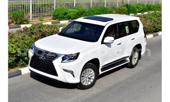 Buy Import Lexus GX White Car in Import - Dubai in Cabo Delgado Buy Import Lexus GX White Car in Import - Dubai in Cabo Delgado