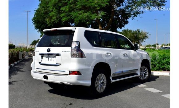 Buy Import Lexus GX White Car in Import - Dubai in Cabo Delgado Buy Import Lexus GX White Car in Import - Dubai in Cabo Delgado