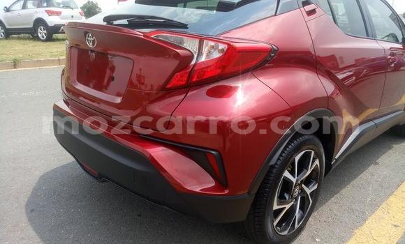 Comprar Usado Toyota C-HR Vermelho Carro em Maputo em Maputo Comprar Usado Toyota C-HR Vermelho Carro em Maputo em Maputo