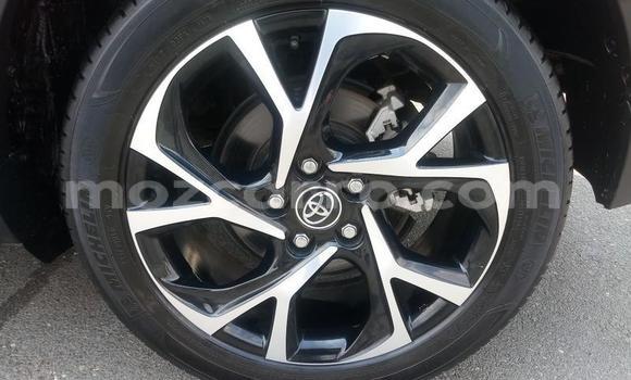 Comprar Usado Toyota C-HR Vermelho Carro em Maputo em Maputo Comprar Usado Toyota C-HR Vermelho Carro em Maputo em Maputo