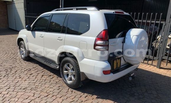 Comprar Usado Toyota Land Cruiser Prado Branco Carro em Beira em Sofala