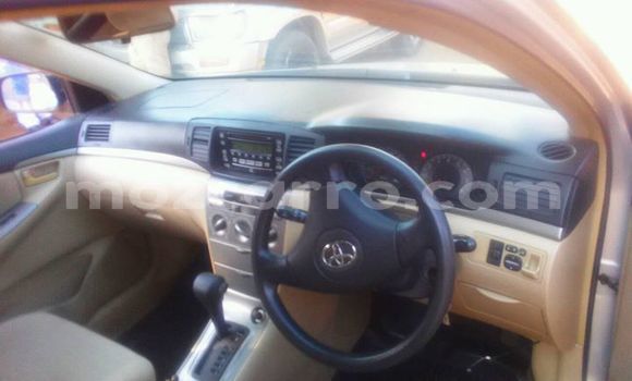 Tenga Tsaru Toyota Runx Sirivha Mota in Ancuabe in Cabo Delgado Tenga Tsaru Toyota Runx Sirivha Mota in Ancuabe in Cabo Delgado