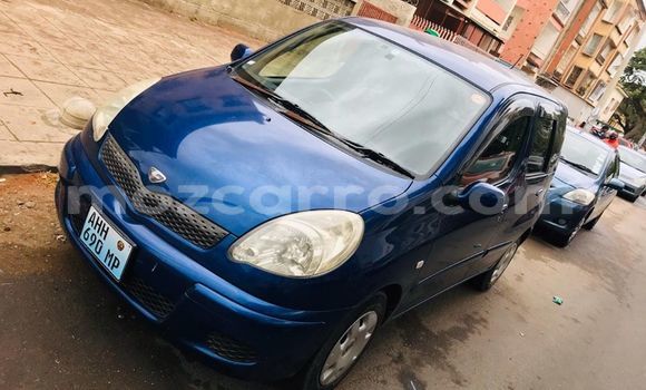 Tenga Tsaru Toyota FunCargo Bhuruu Mota in Ancuabe in Cabo Delgado Tenga Tsaru Toyota FunCargo Bhuruu Mota in Ancuabe in Cabo Delgado