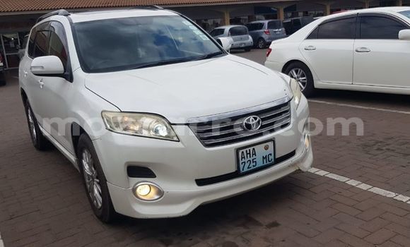 Cars for sale in mozambique - mozcarro