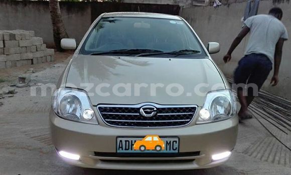 Comprar Usado Toyota Allex De outros Carro em Ancuabe em Cabo Delgado