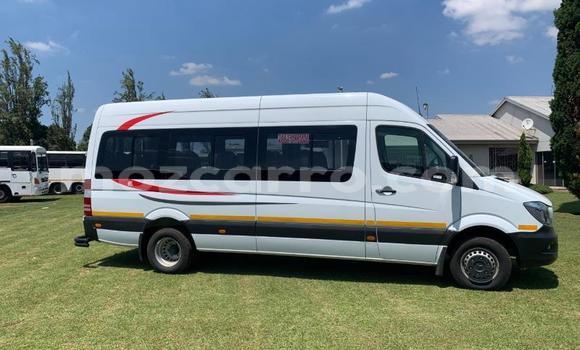 Buy Used Mercedes‒Benz Sprinter White Truck in Mocambique in Nampula Buy Used Mercedes‒Benz Sprinter White Truck in Mocambique in Nampula
