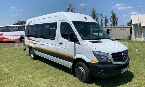 Buy Used Mercedes‒Benz Sprinter White Truck in Mocambique in Nampula Buy Used Mercedes‒Benz Sprinter White Truck in Mocambique in Nampula