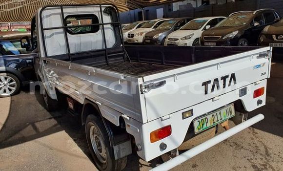 Nunua Ilio tumika TATA Estate Nyeupe Gari ndani ya Beira nchini Sofala Nunua Ilio tumika TATA Estate Nyeupe Gari ndani ya Beira nchini Sofala